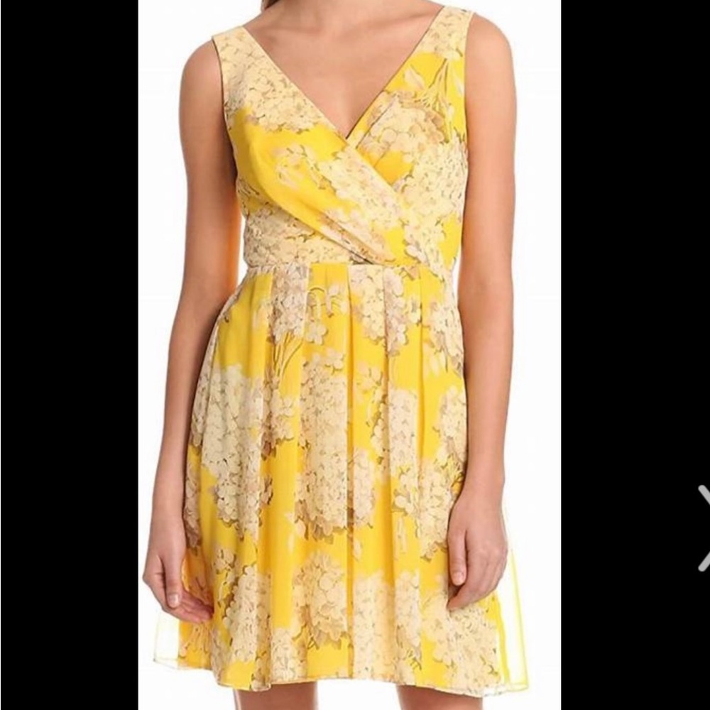 New Trina Turk Dress.